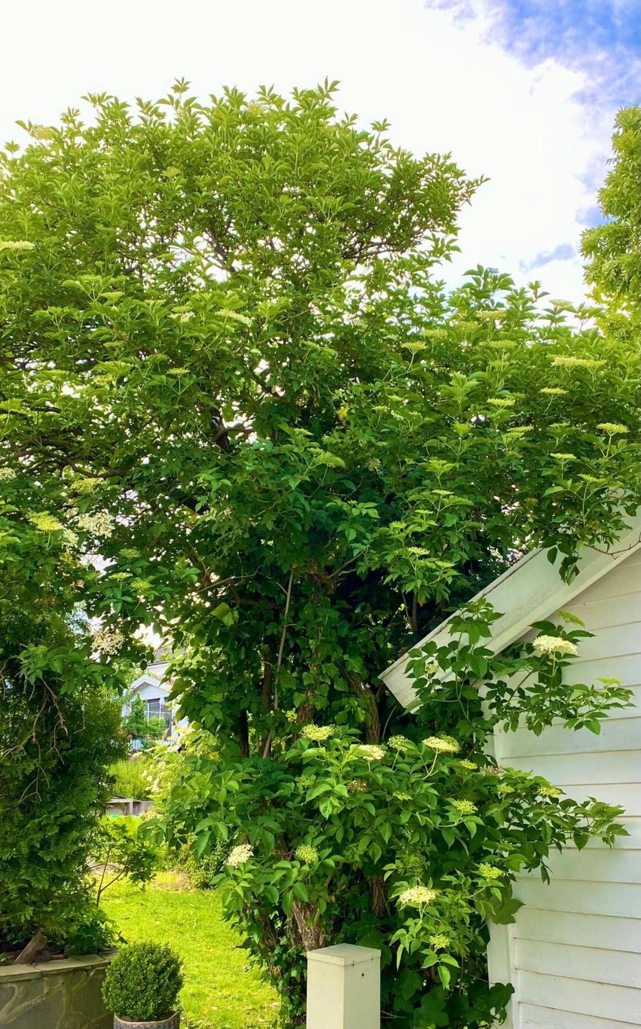 Down Town Apartment With Outside Area In Villa Кристиансан Екстериор снимка